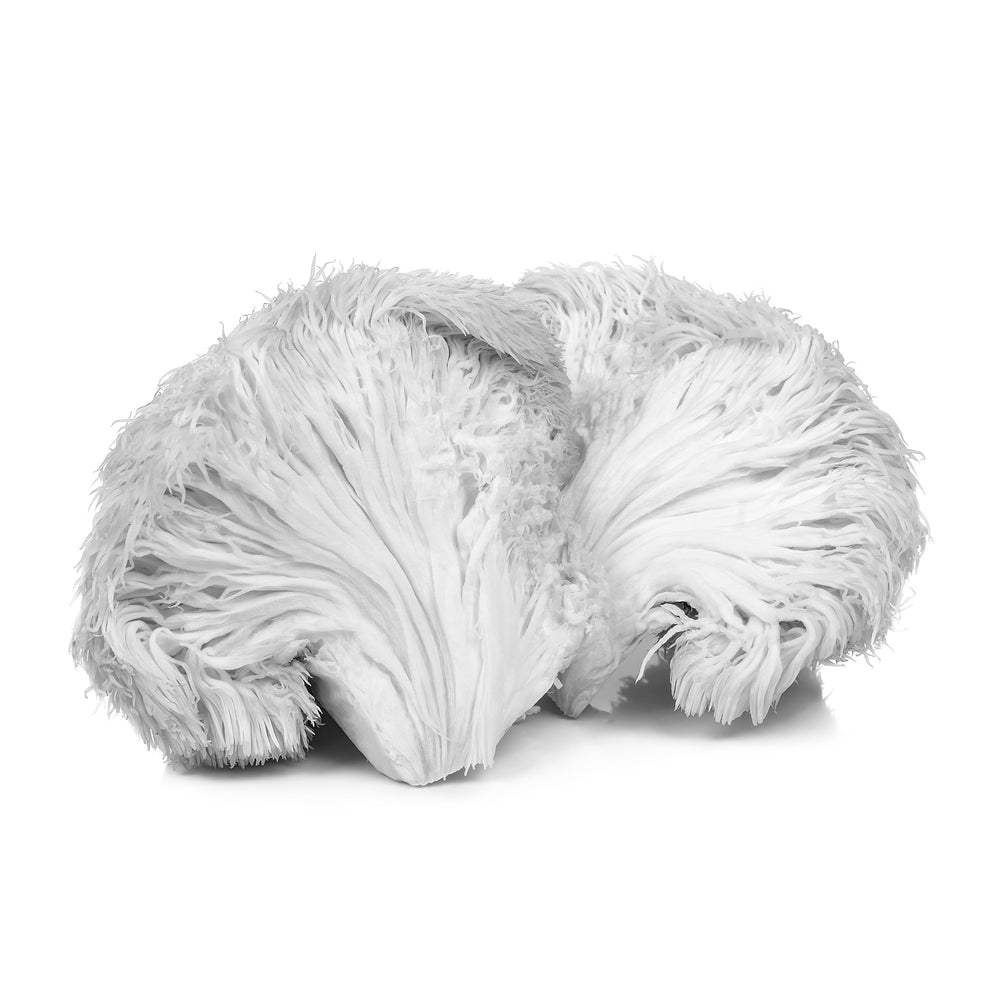 black and white image of lion's mane mushroom